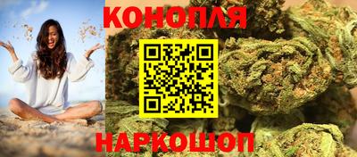 индика Пугачёв