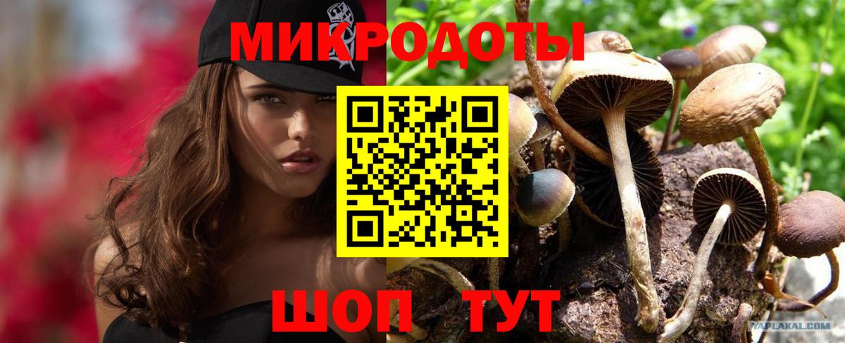 Россия  Галлюциногенные грибы Cubensis  Галлюциногенные грибы прущие грибы  где купить наркотик  Вход с VPN 