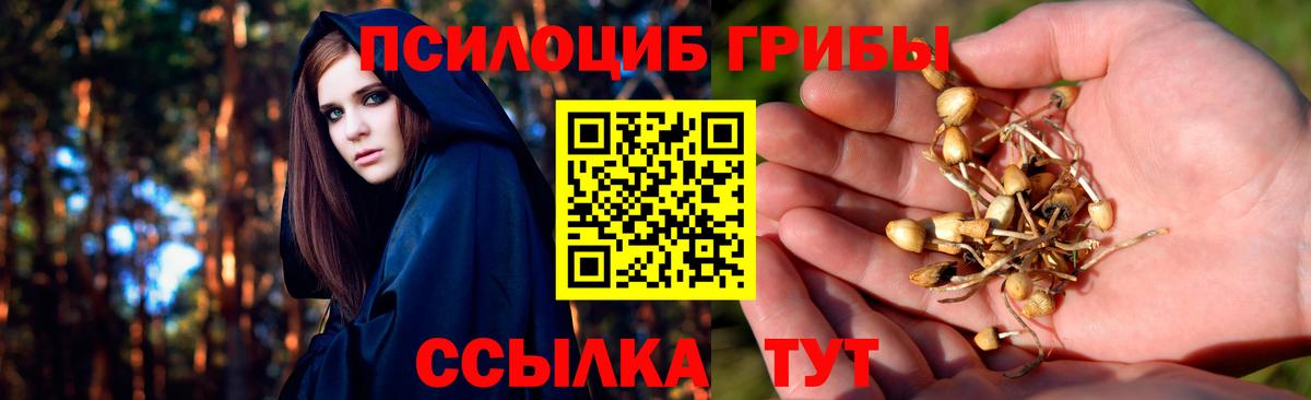 Псилоцибиновые грибы мицелий Россия